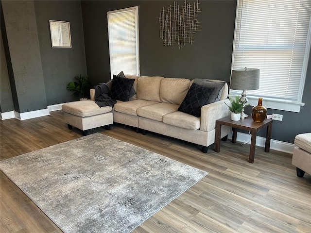 living room with hardwood / wood-style flooring