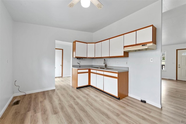 kitchen with light hardwood / wood-style flooring, white cabinetry, ceiling fan, and sink