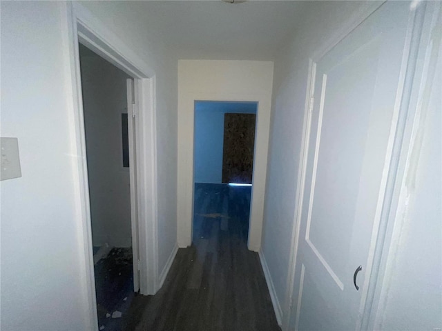 corridor with dark hardwood / wood-style flooring