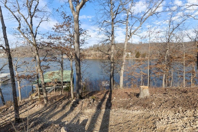 Listing photo 3 for 7801 Eagle Bay Dr, MO 65037