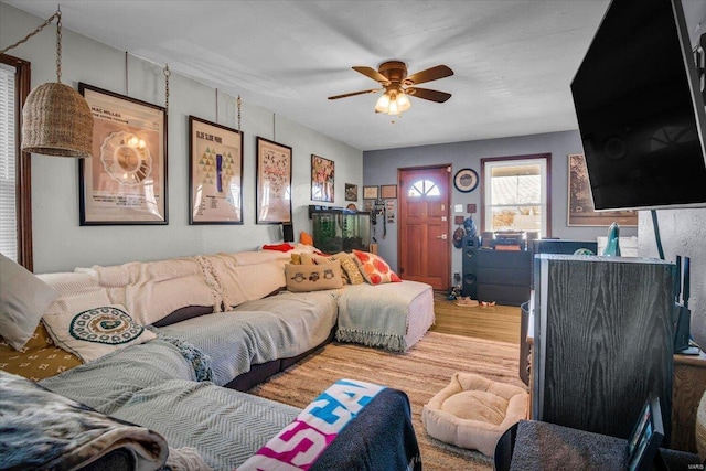 living room with ceiling fan and wood-type flooring