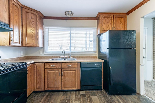 kitchen featuring dark hardwood / wood-style flooring, sink, black appliances, and plenty of natural light