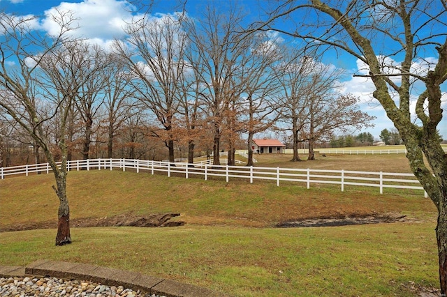 view of yard with a rural view