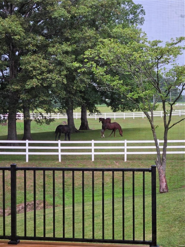 view of yard with a rural view