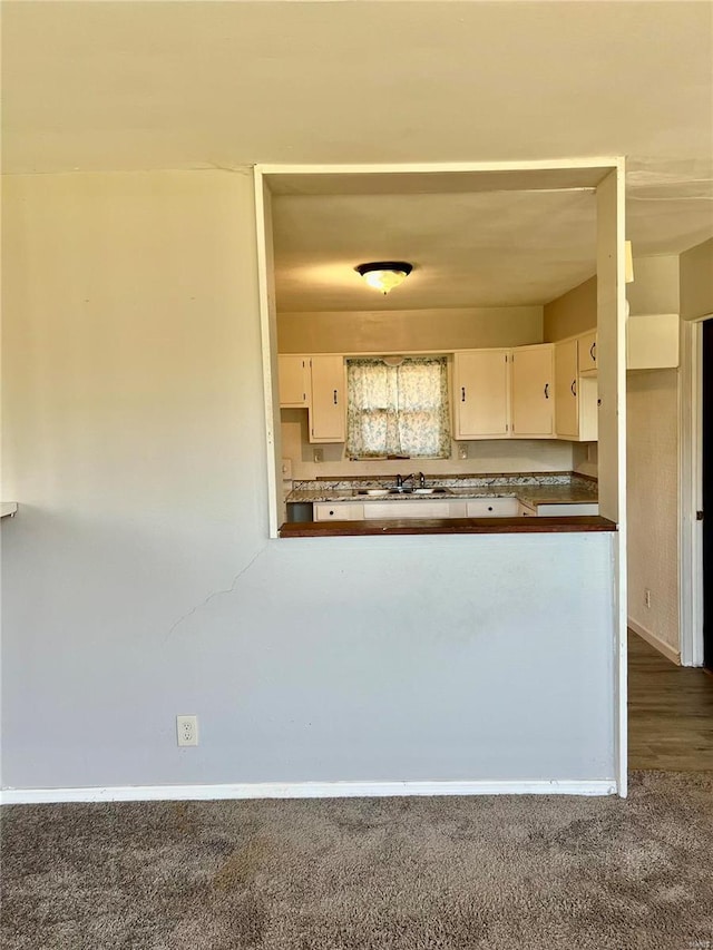 kitchen with dark colored carpet and sink