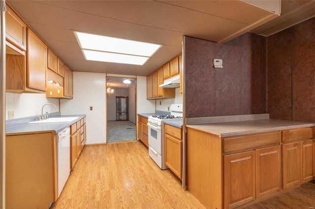 kitchen with a chandelier, white appliances, light hardwood / wood-style flooring, and sink