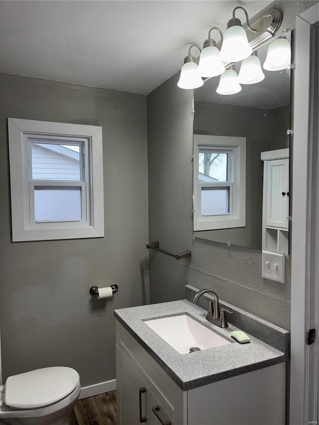 bathroom featuring vanity, toilet, and hardwood / wood-style floors