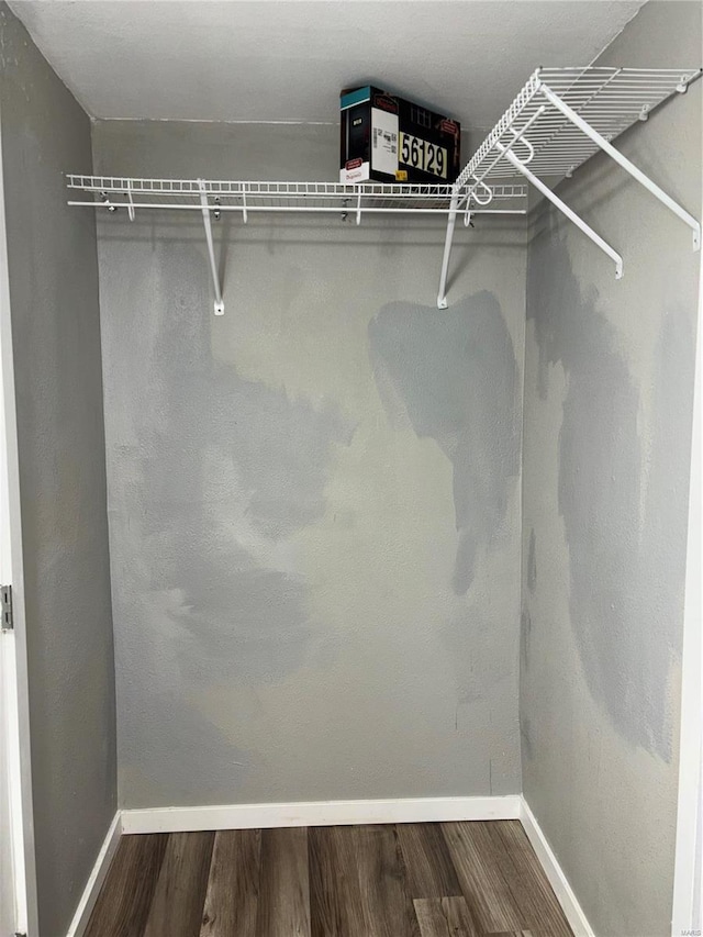 spacious closet featuring wood-type flooring