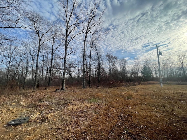 view of local wilderness