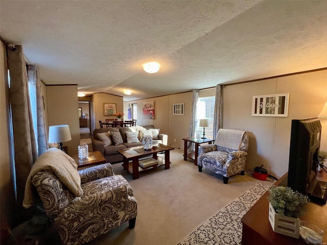 carpeted living room with a textured ceiling and vaulted ceiling