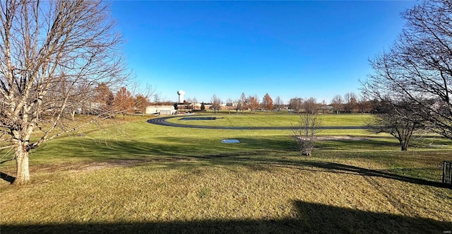 view of community featuring a yard