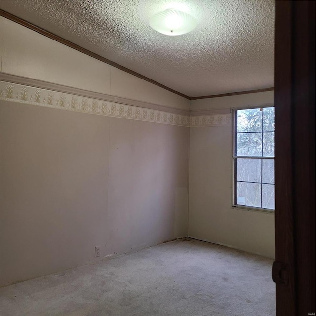 spare room featuring a textured ceiling, ornamental molding, and light carpet