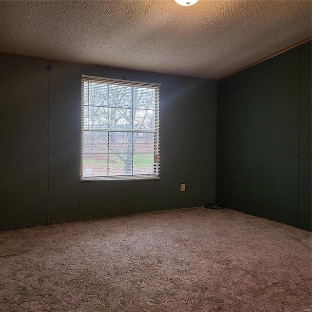 carpeted spare room with a textured ceiling