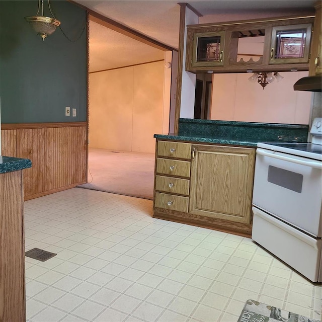 kitchen with wooden walls, exhaust hood, and white electric stove