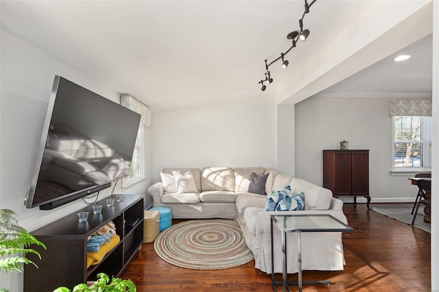 living room featuring crown molding, dark wood-type flooring, and rail lighting