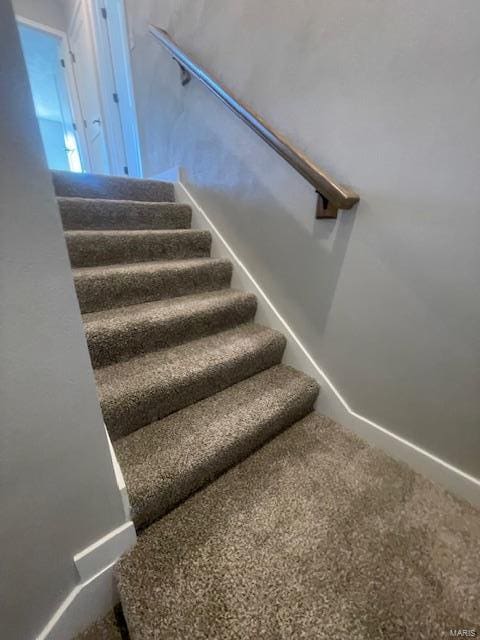 staircase featuring carpet