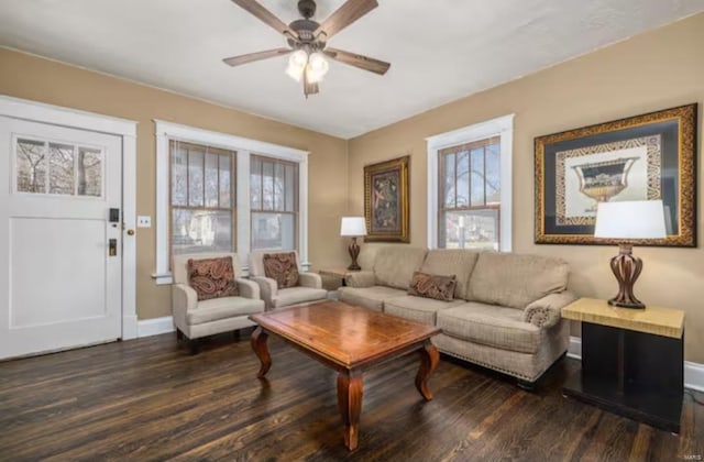 living room with ceiling fan and dark hardwood / wood-style flooring