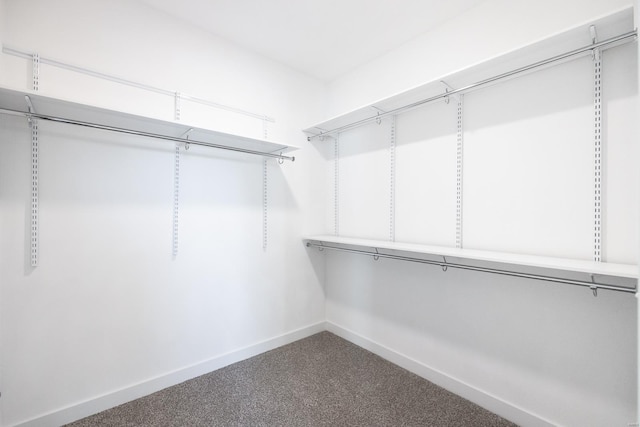 spacious closet with carpet floors