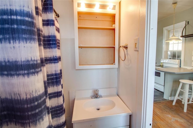 bathroom featuring wood finished floors and vanity