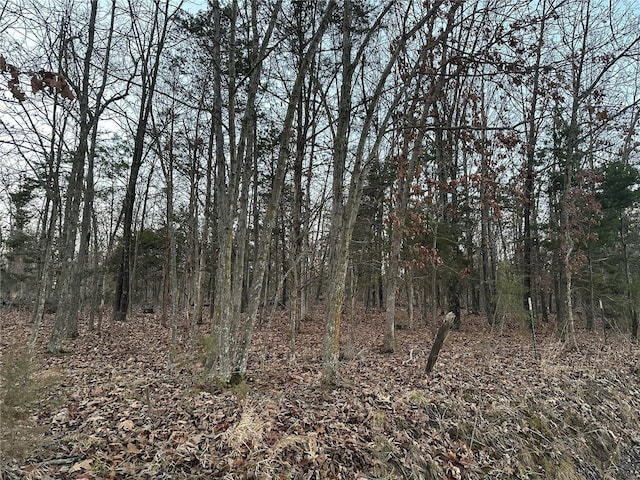 0 Holt Rd Unit A, Bland MO, 65014 land for sale