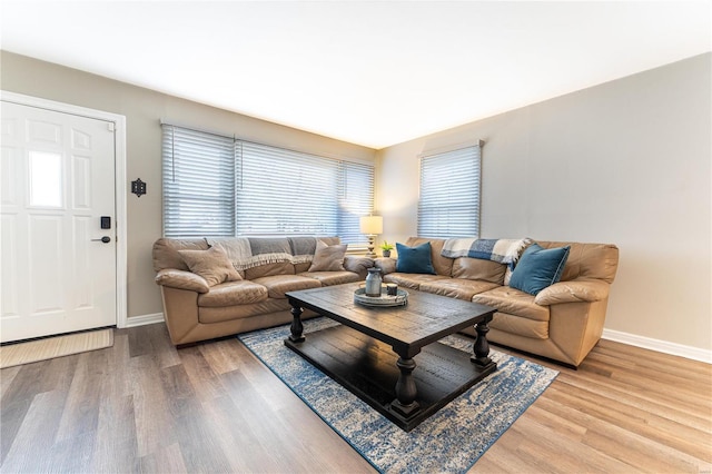 living room with wood-type flooring