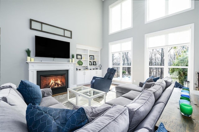 living room featuring wood-type flooring and a high ceiling