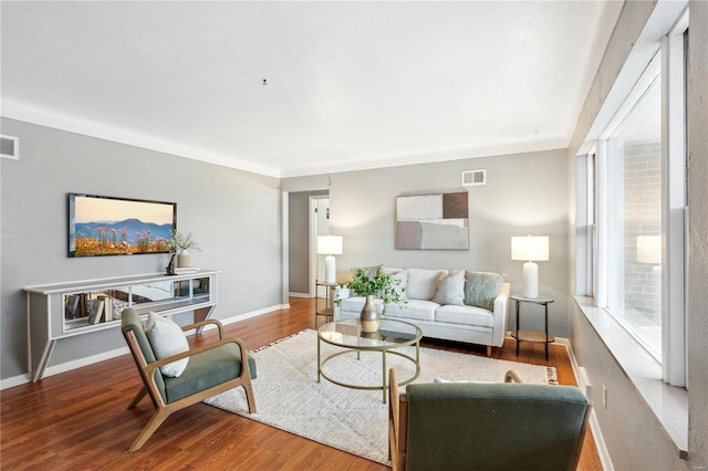 living room featuring wood-type flooring