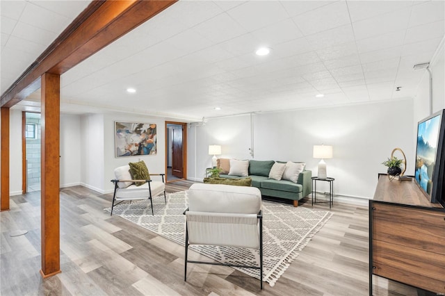 living room with light wood-type flooring