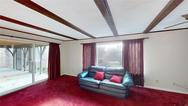 carpeted living room with beam ceiling, ceiling fan, and a healthy amount of sunlight