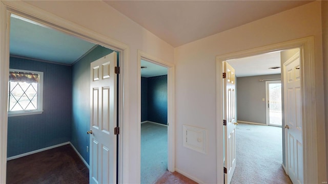 hall with plenty of natural light and carpet floors