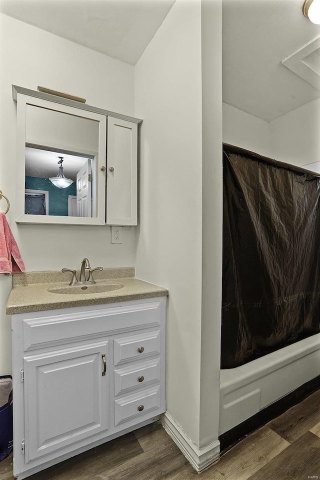 bathroom featuring hardwood / wood-style flooring and vanity