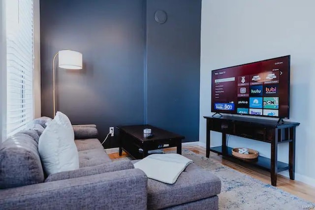 living room featuring wood-type flooring