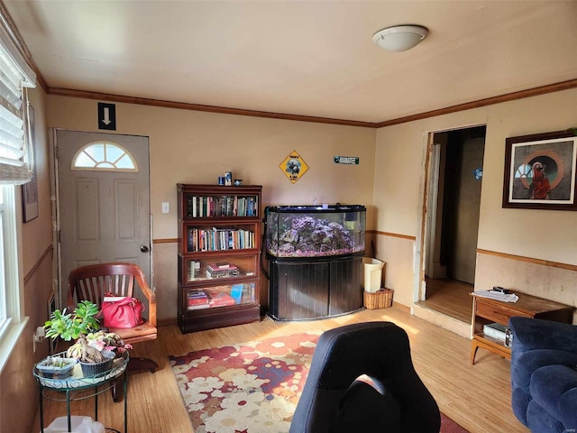 living room featuring light hardwood / wood-style floors and crown molding