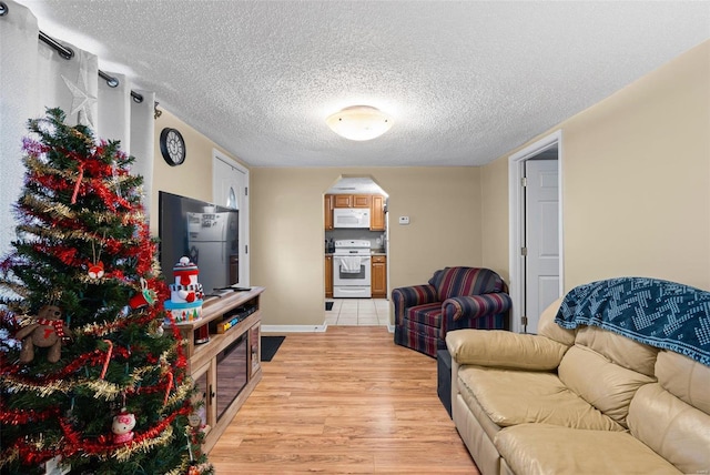 living room with a textured ceiling and light hardwood / wood-style flooring