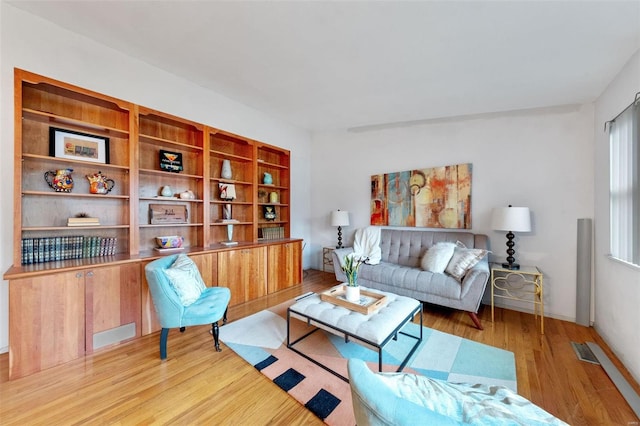 living room featuring wood-type flooring