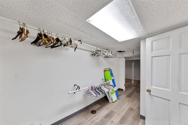 spacious closet with hardwood / wood-style floors and a paneled ceiling