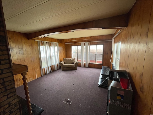 interior space featuring carpet and wood walls