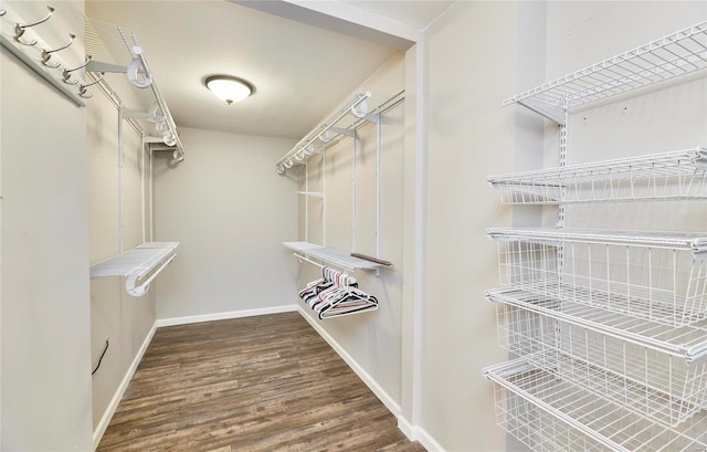 spacious closet with dark hardwood / wood-style floors