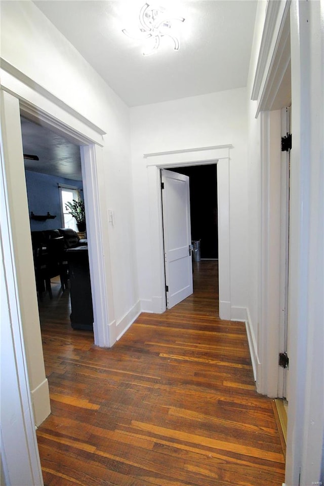 hallway featuring dark hardwood / wood-style flooring