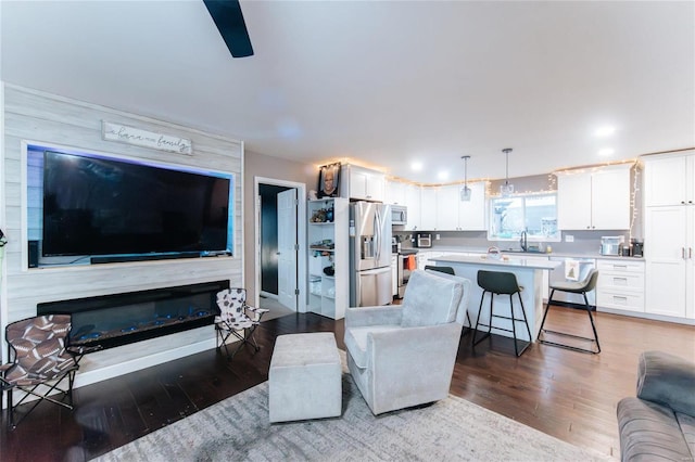 living room featuring hardwood / wood-style floors and sink