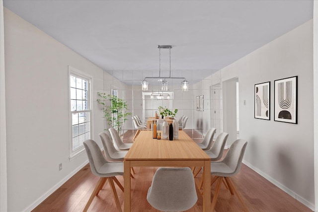 dining room with hardwood / wood-style floors