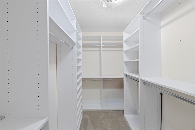 spacious closet featuring light carpet