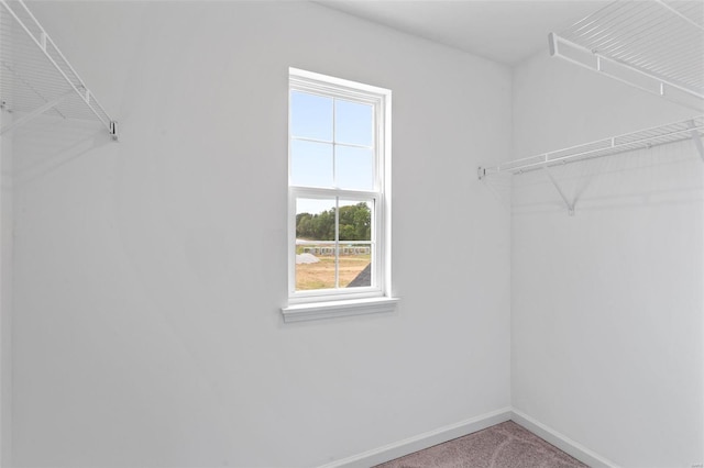 walk in closet featuring carpet