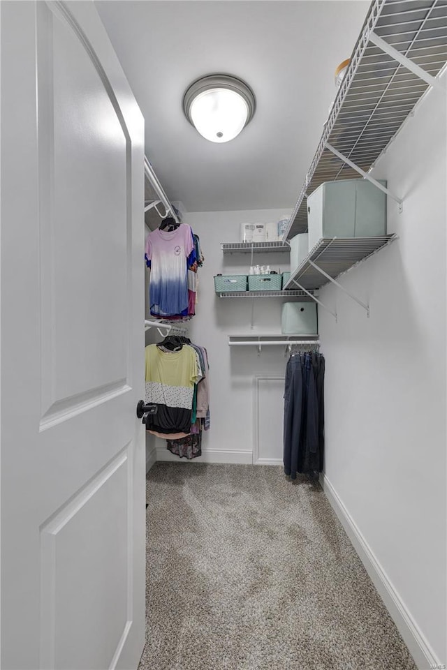 walk in closet with carpet