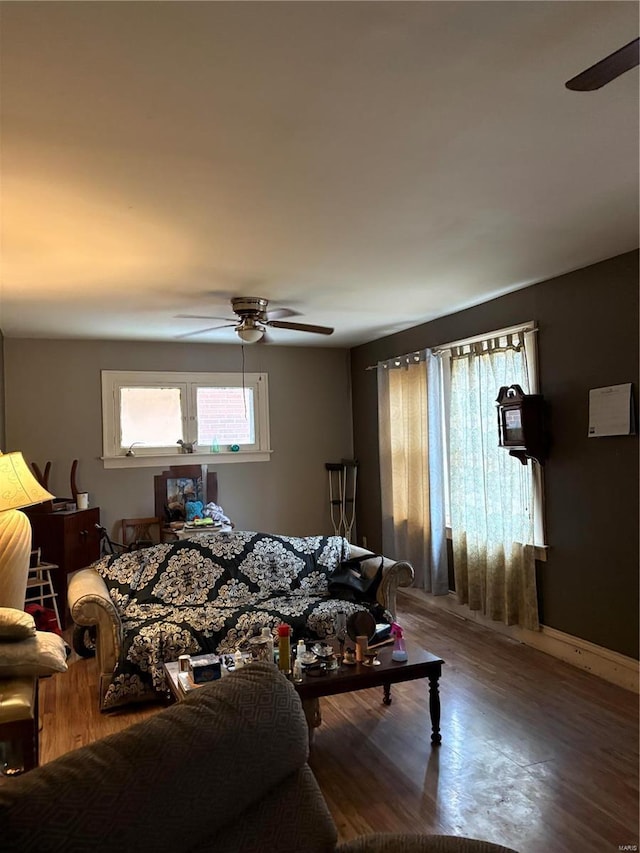 living room with ceiling fan and wood-type flooring