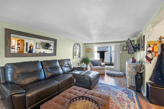 living room featuring hardwood / wood-style floors and a textured ceiling