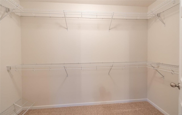 spacious closet featuring carpet flooring