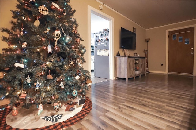 living room with hardwood / wood-style floors