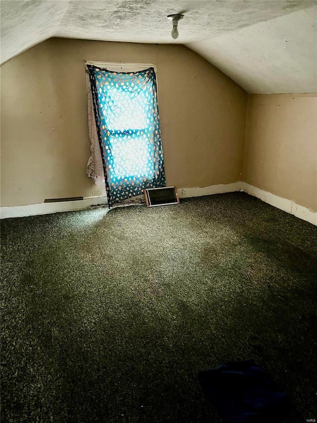 additional living space with carpet flooring, a textured ceiling, and vaulted ceiling