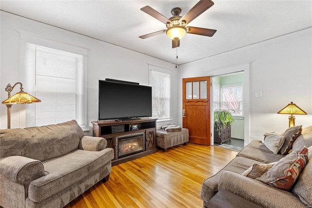 living room with ceiling fan and light hardwood / wood-style flooring